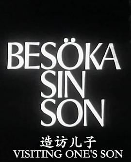 造訪(fǎng)兒子