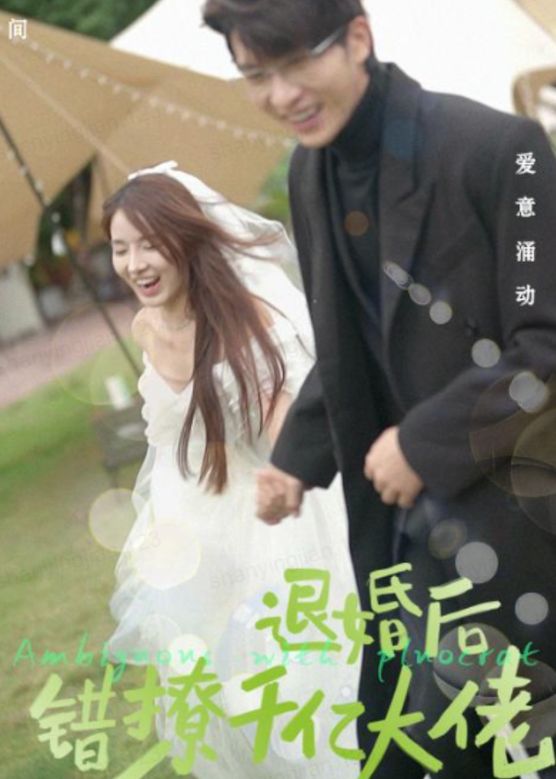 退婚后，錯(cuò)撩千億大佬(全集)