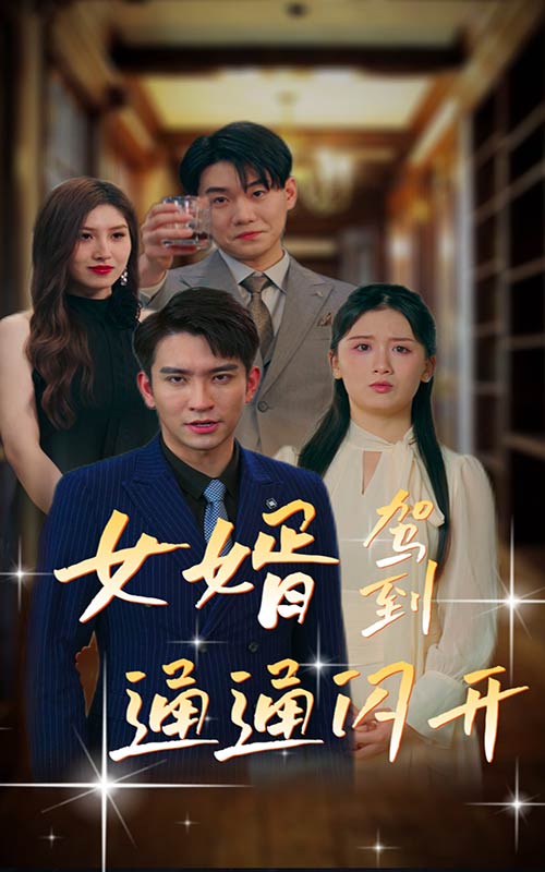 女婿駕到，通通閃開(全集)